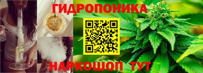 МДПВ Кимры